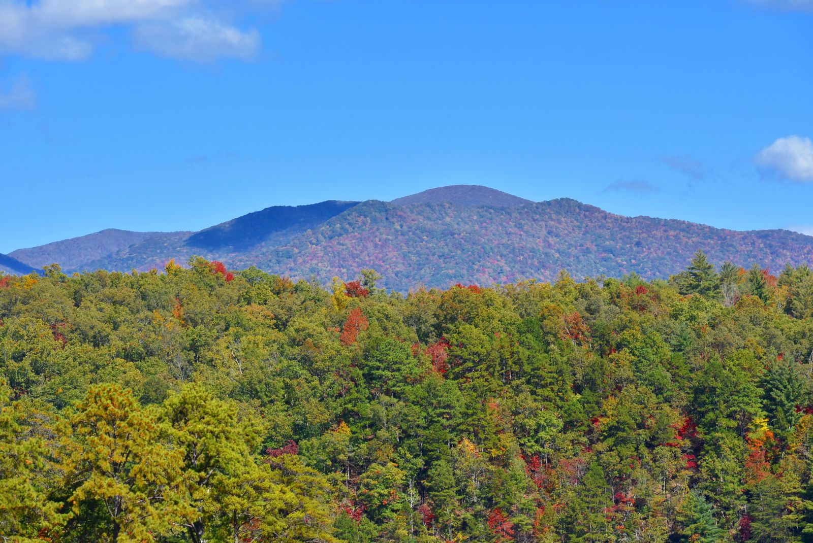Autumn-colored mountains and trees near Gatlinburg, Tennessee